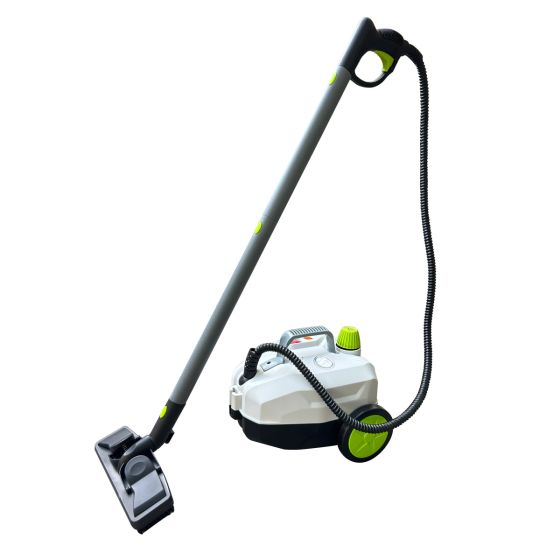 TEDURA 2-in-1 Dampfreiniger und Unkrautvernichter