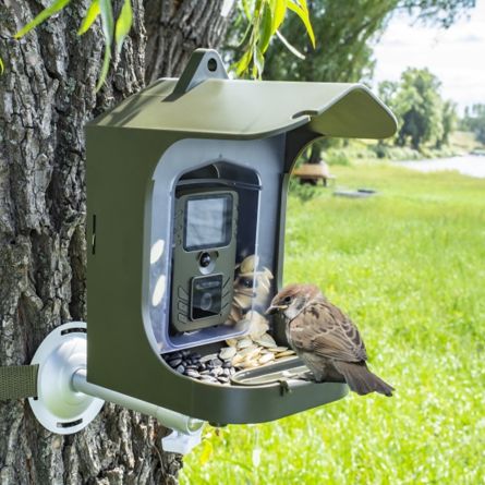 TEDURA Vogelfutterhaus mit Kamera