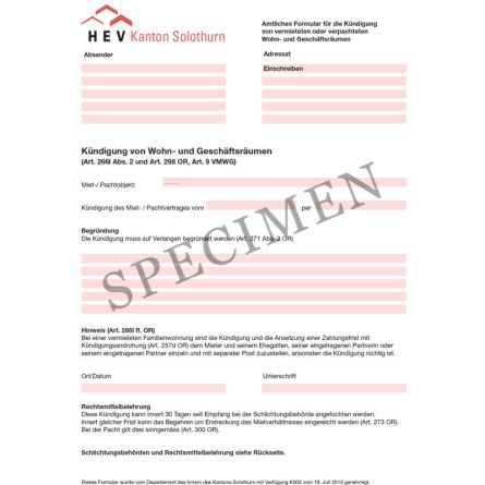 Amtliches Formular für die Kündigung von Wohn- und Geschäftsräumen (Kanton Solothurn)